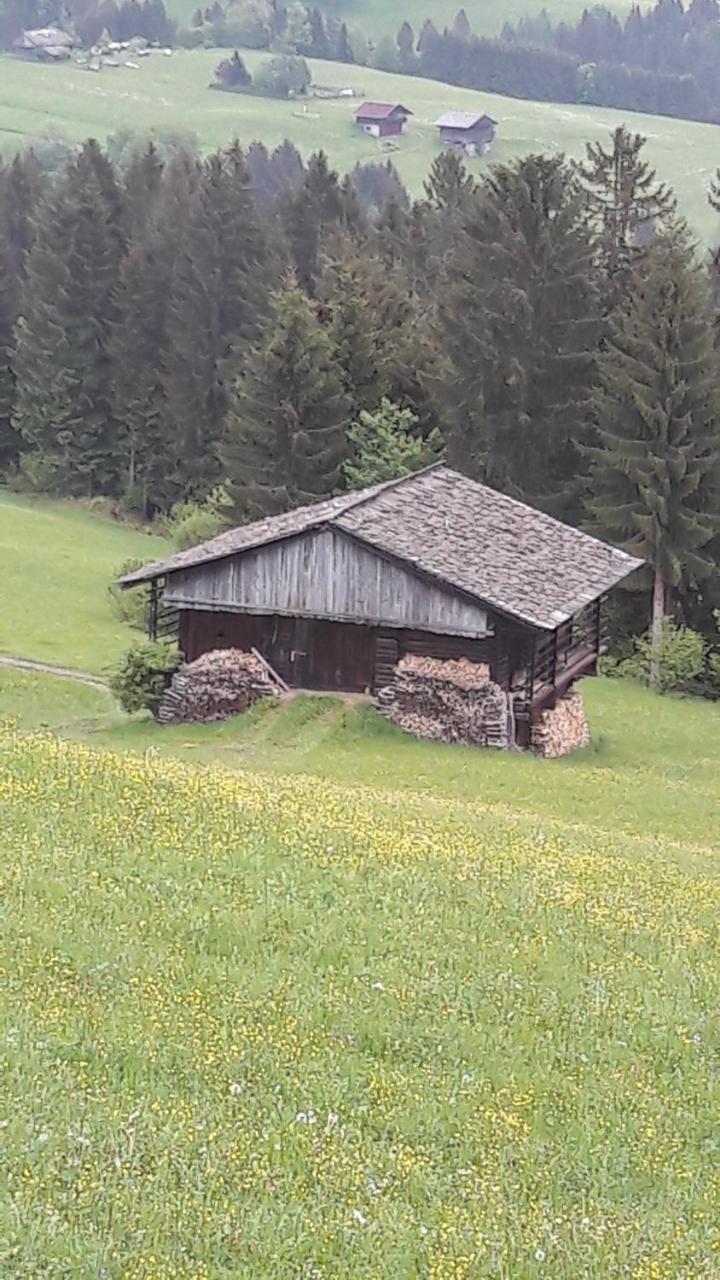 Ferienwohnung Lesachtal Liesing Exterior foto